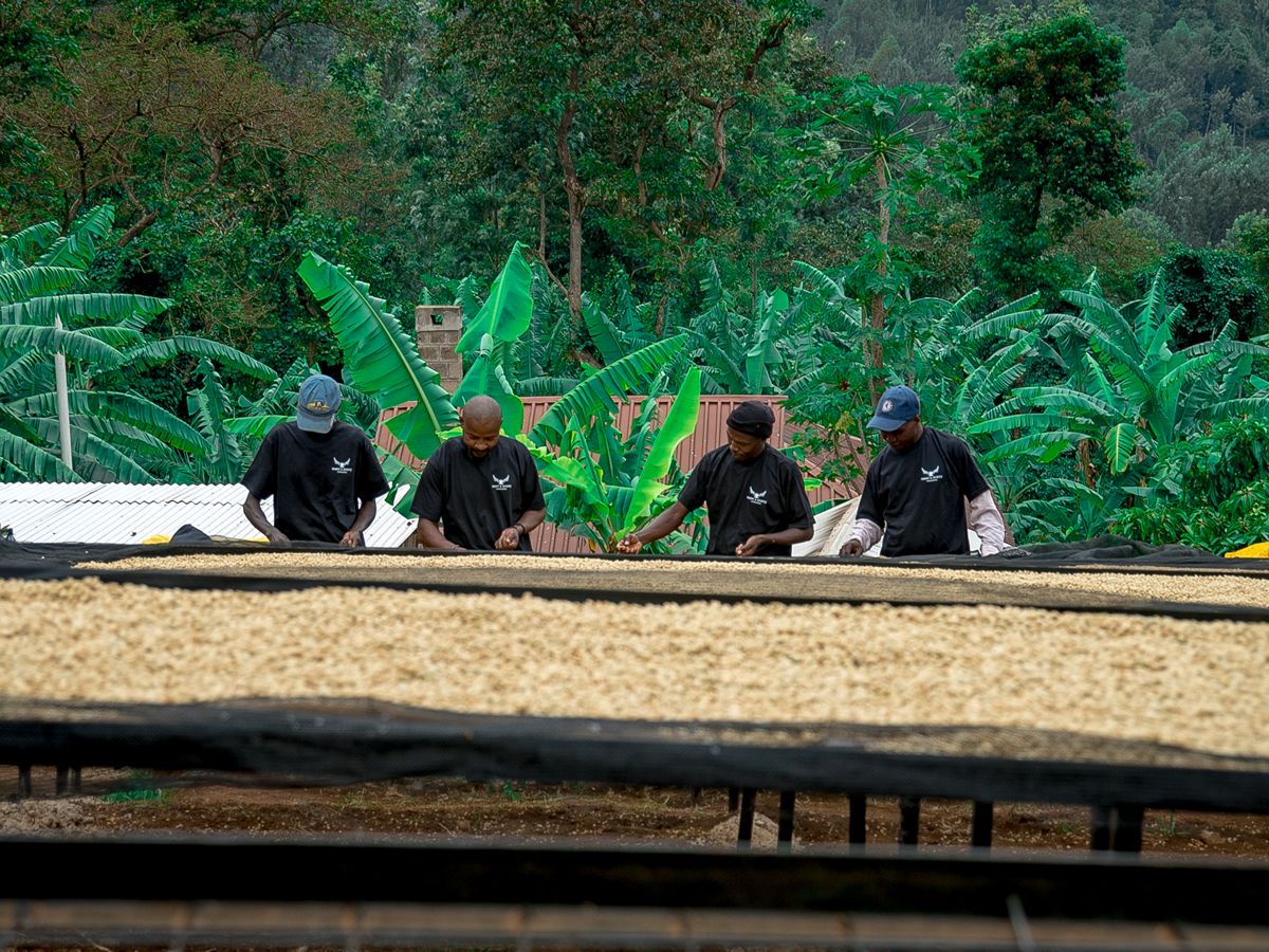Brits brewing up a storm: Macdonald Hotels reports coffee surge
