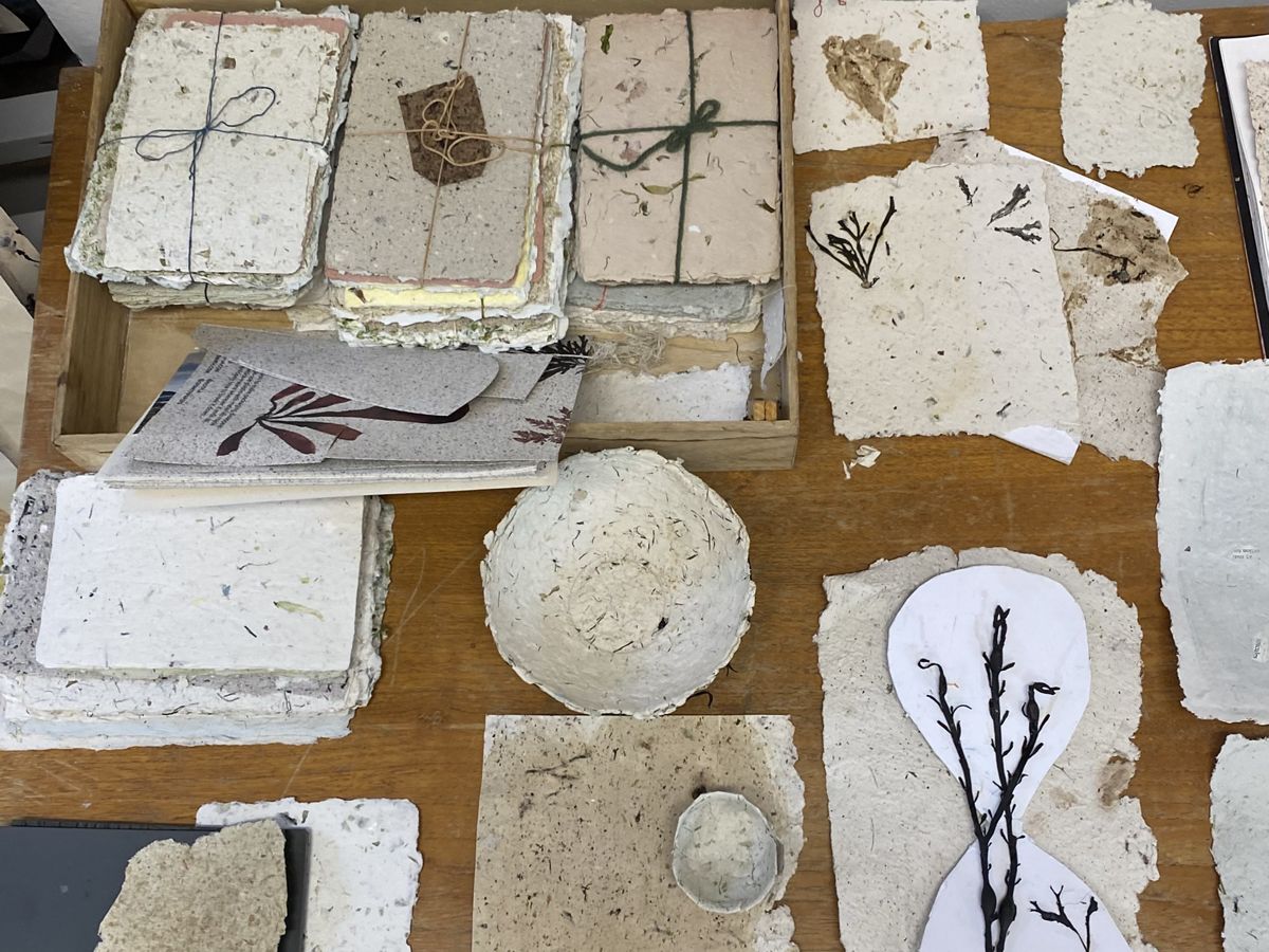 Make Paper With Seaweed