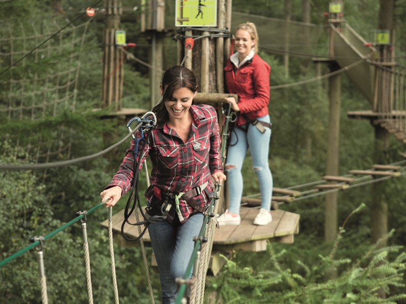 Experience an Autumn adventure with Go Ape Aberfoyle