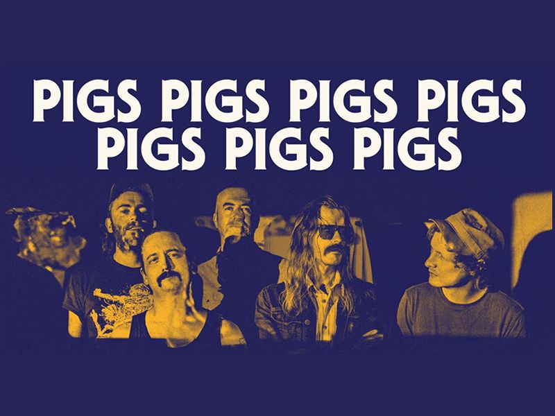 Pigs Pigs Pigs Pigs Pigs Pigs Pigs
