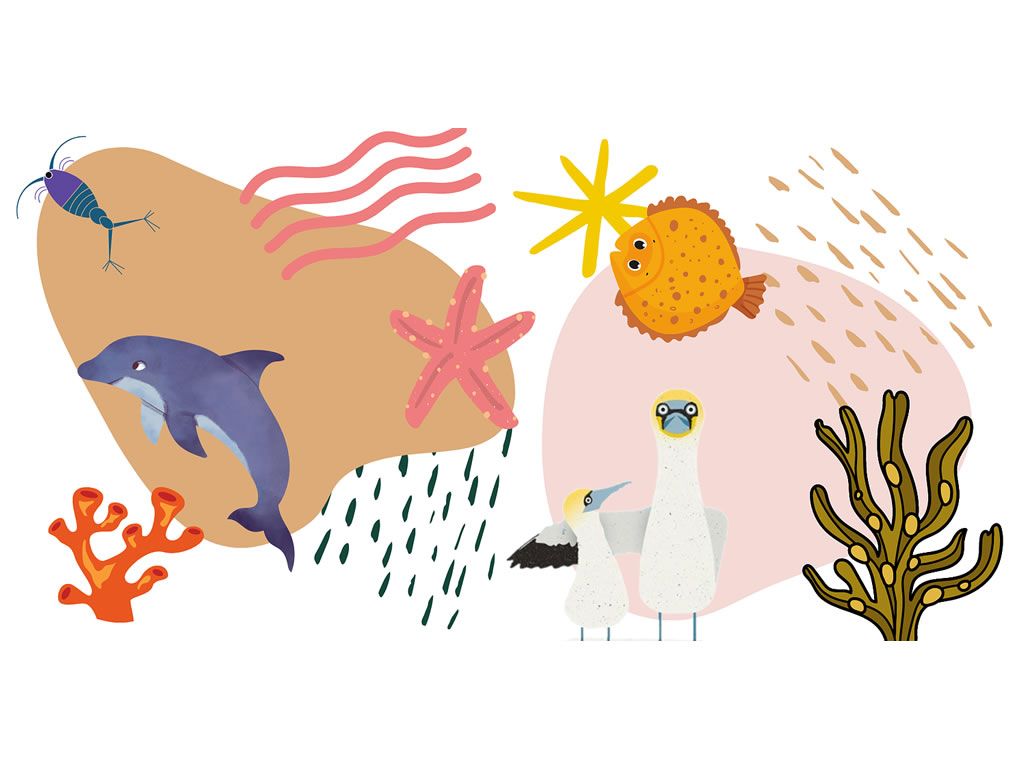 100 Species Exhibition
