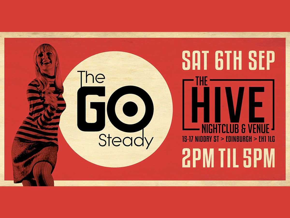 The GO Steady in The Hive
