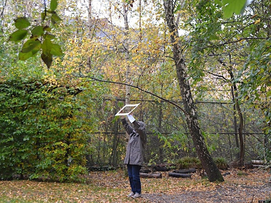 Wintering Well: Living with Seasonal Affective Disorder