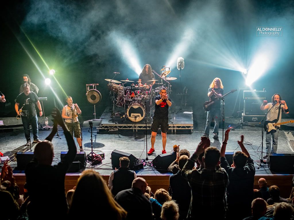 Pygmy Twylyte plus Orange Claw Hammer