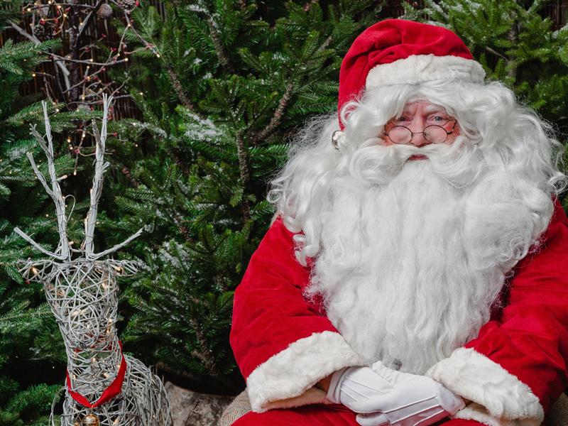 Dobbies launches Christmas events programme with social distancing and safety at forefront