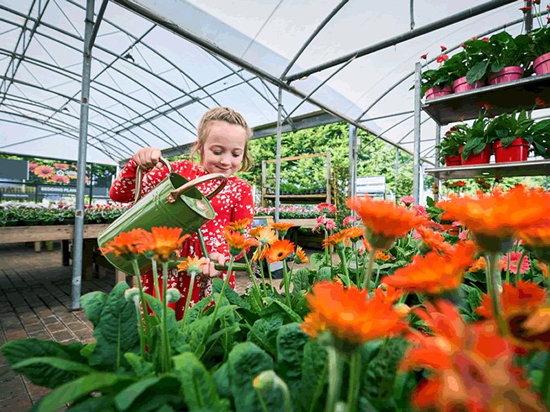 Dobbies celebrates the start of summer with free events for children