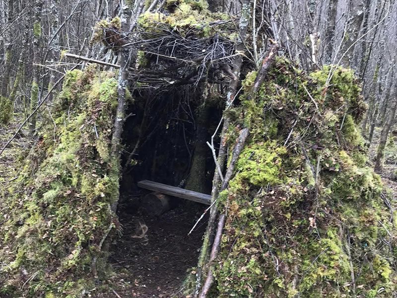 Bushcraft