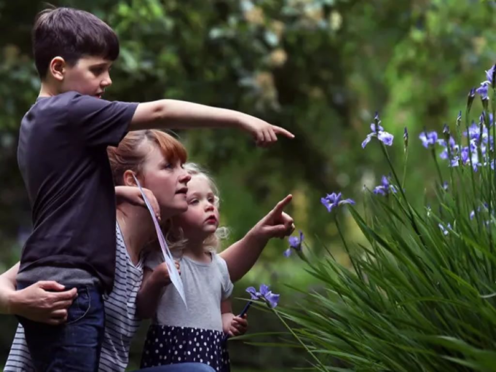 Magical Menagerie Activity Day