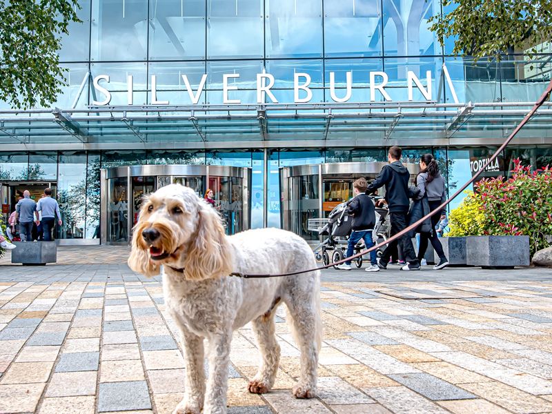 Canine companions join the shopping spree at Silverburn