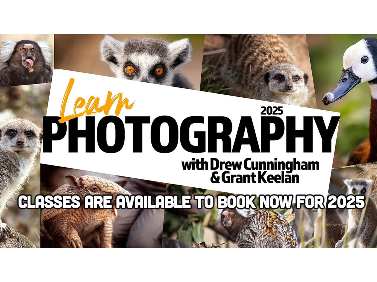 Learn Photography at Fife Zoo