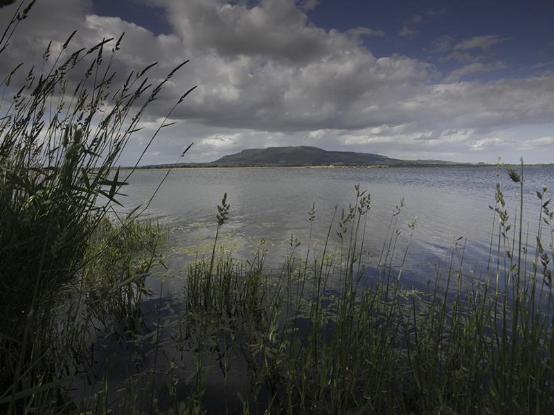 Emily Williamson Statue Campaign national tour visits RSPB Loch Leven