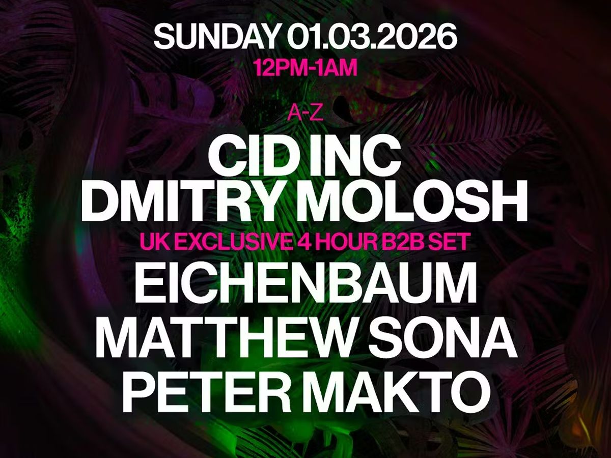 Skyline feat Dmitry Molosh, Cid Inc, Eichenbaum, Peter Makto
