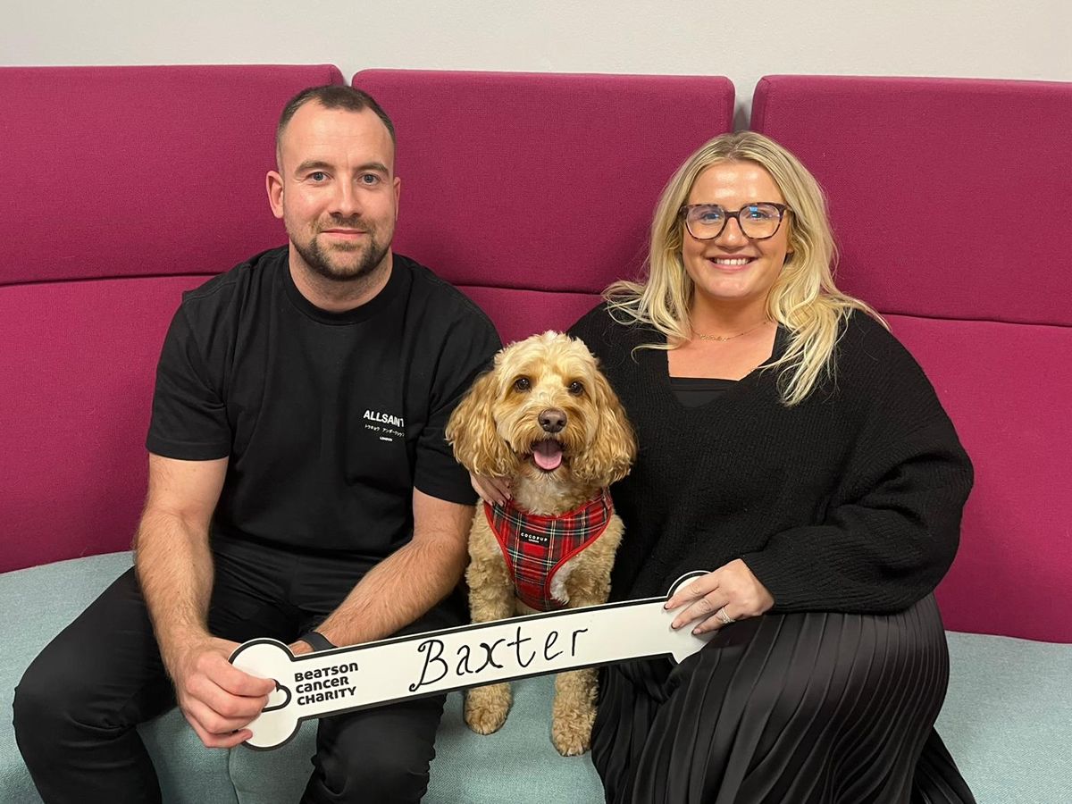 Beatson Cancer Charity is excited to introduce Baxter as its new Ambassadog