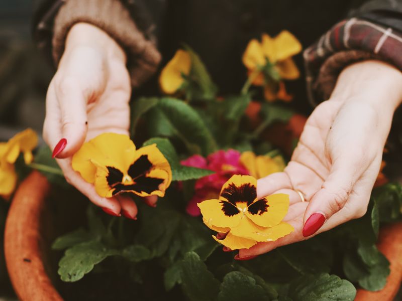 Getting your garden in top shape this winter, with Dobbies