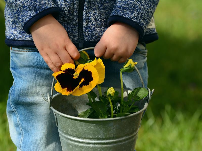 Growing wee gardeners at Castlebank Park this summer