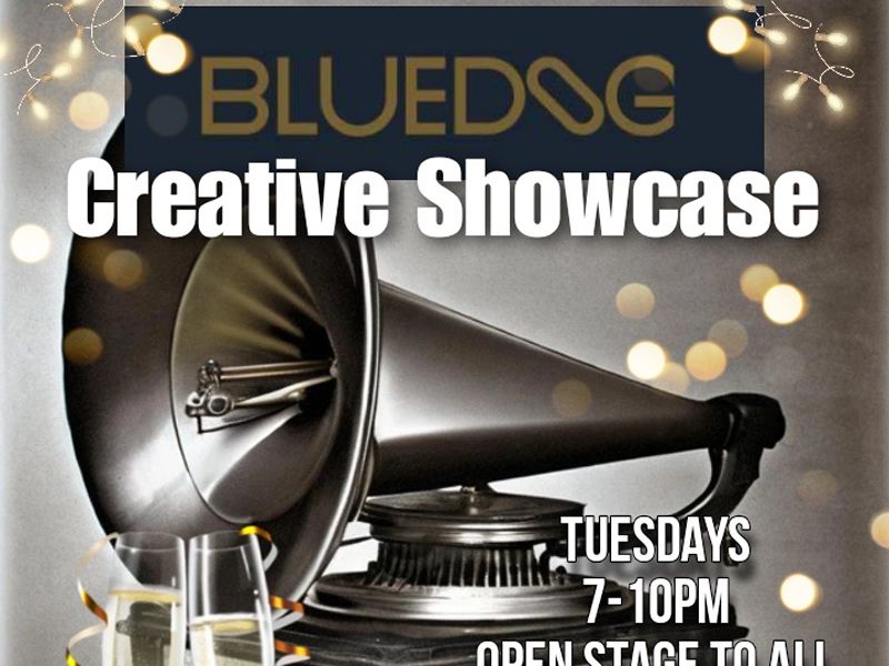 Blue Dog Creative Showcase