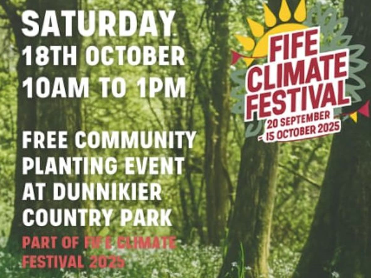 Bulbs & Bees: A Community Planting Day