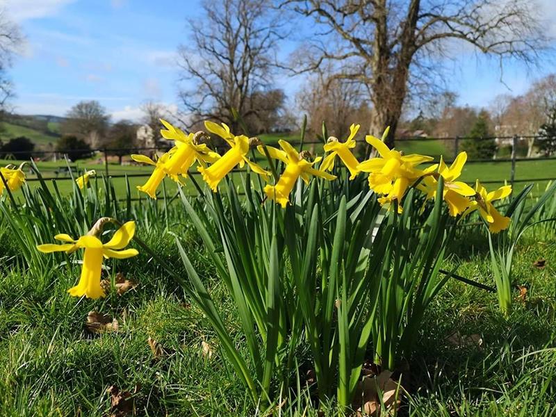 Get set for spring at Castlebank Horticultural Centre