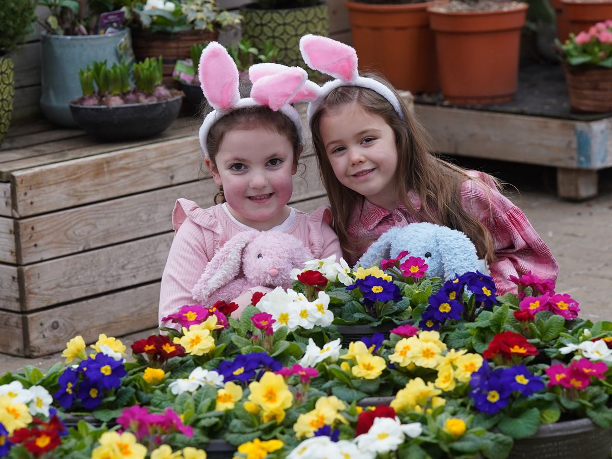 Hop into Easter at Dobbies with Gabbys Dollhouse Little Seedlings Club