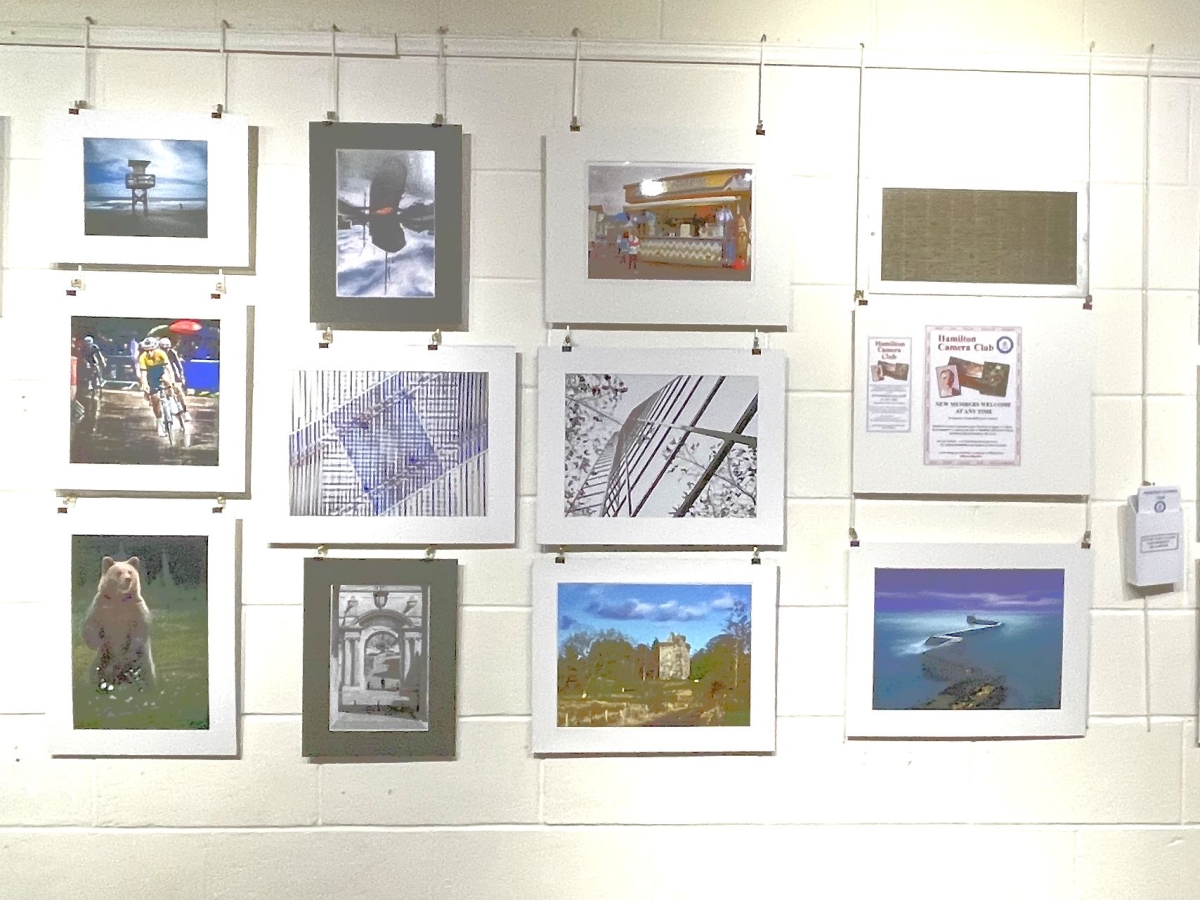 Hamilton Camera Club Photography Display