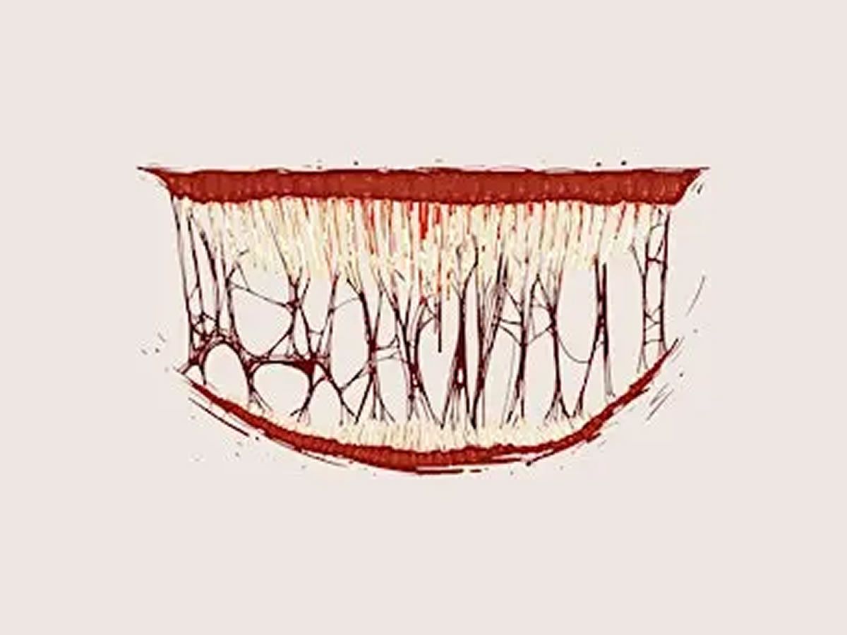 The Psychology of Horror Movies