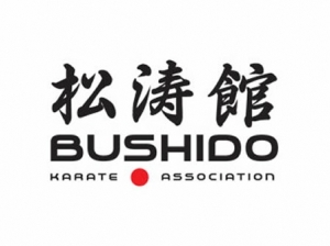 Bushido Karate Club