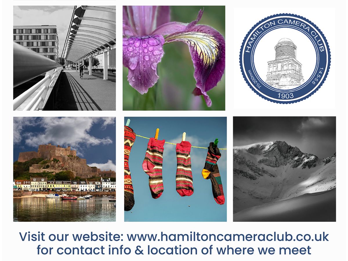 Hamilton Camera Club Print Exhibition