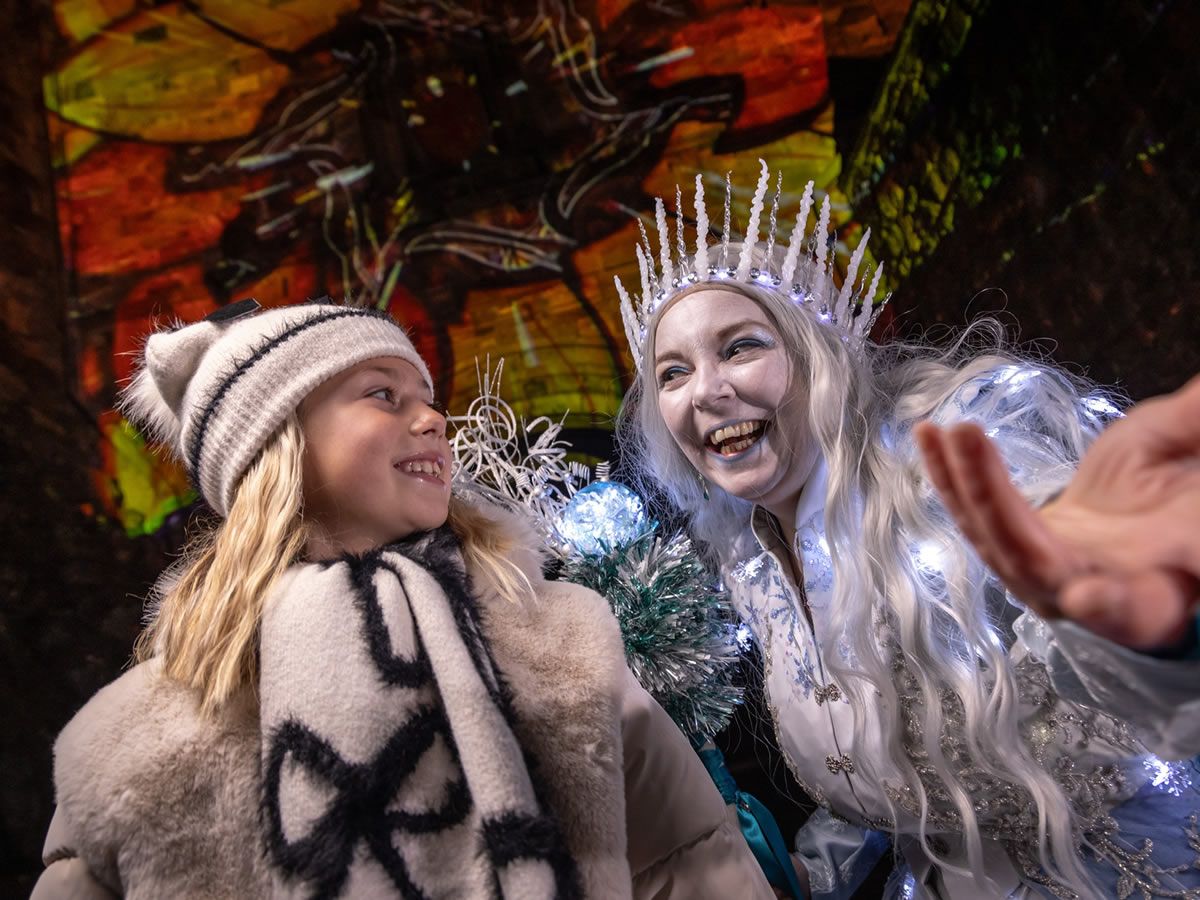 St Andrews Day ticket offer for Castle of Light