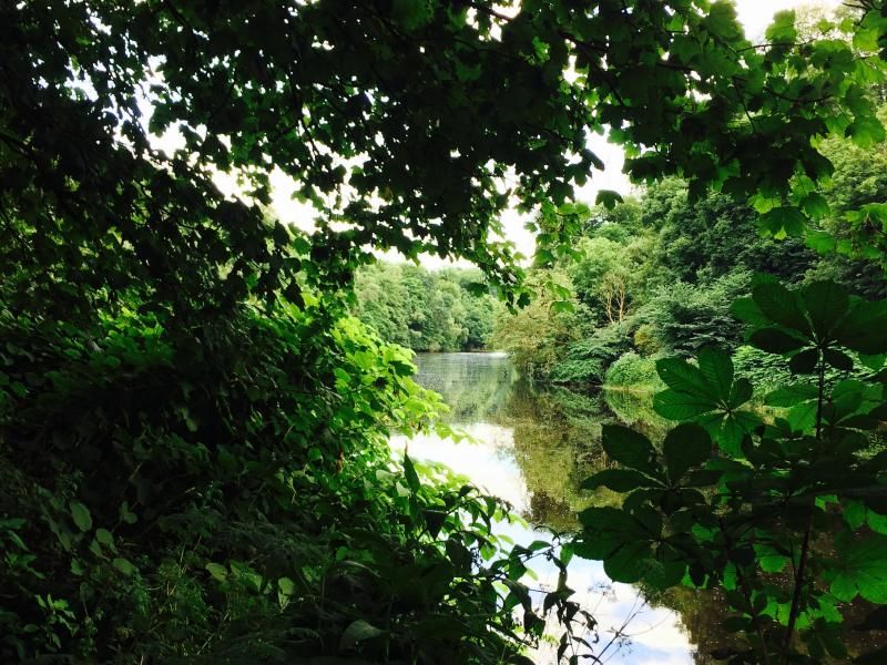 Explore The South Calder Walkway