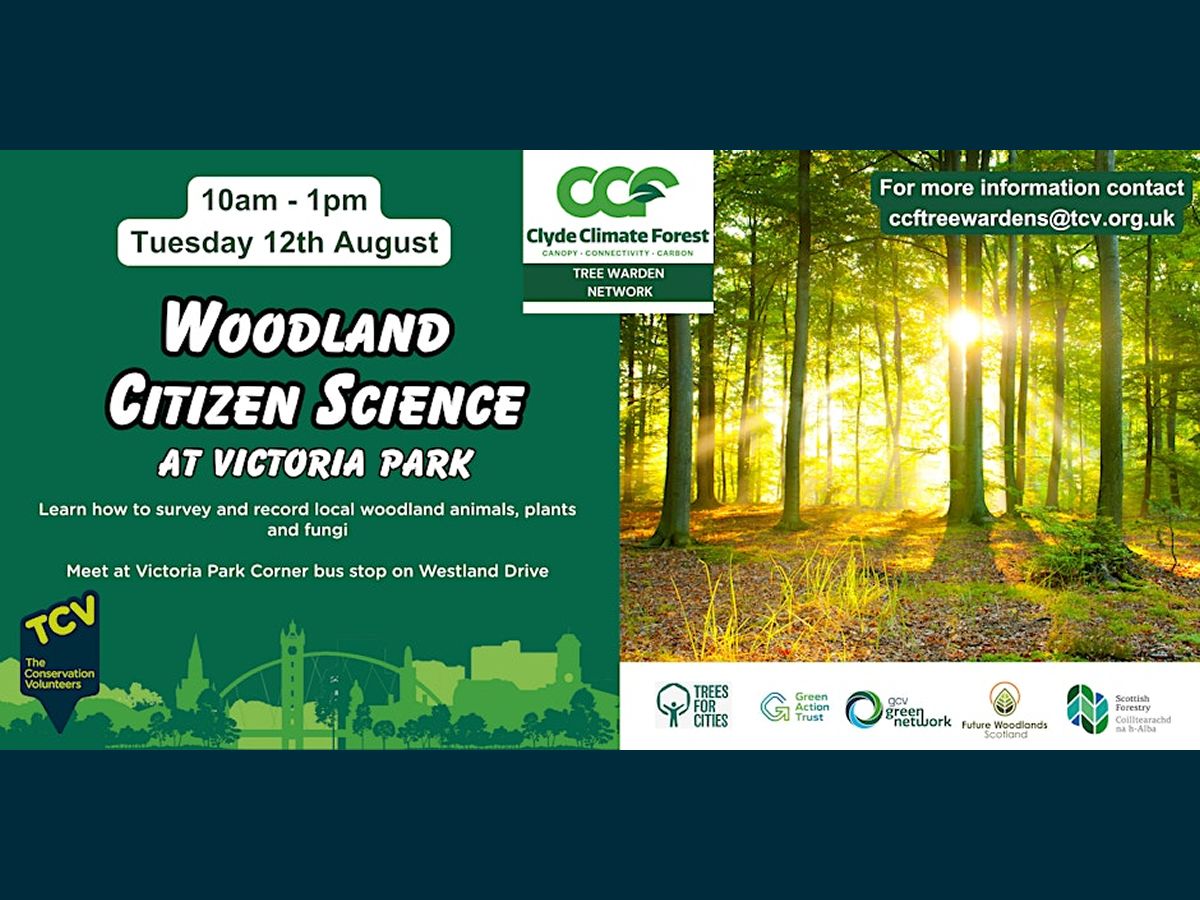 Woodland Citizen Science Workshop with the CCF Tree Wardens
