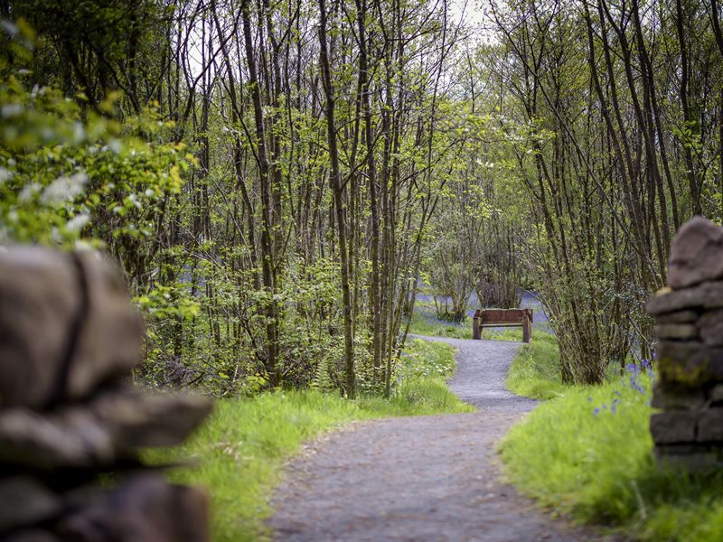 Rspb Scotland Loch Lomond