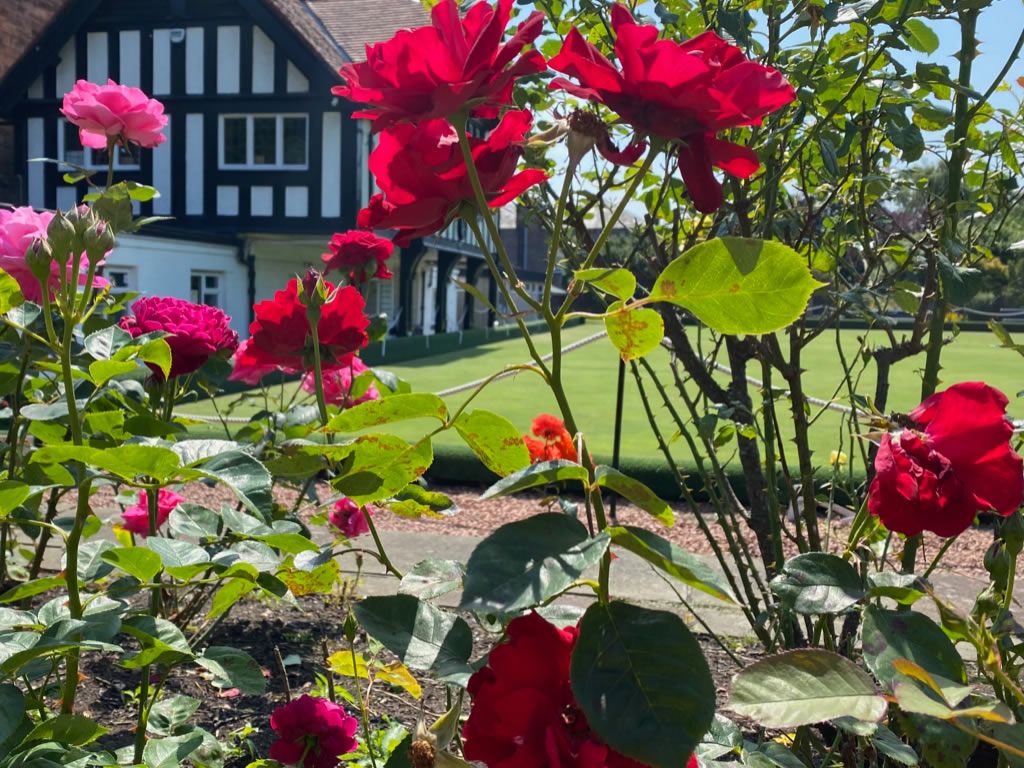 Scotland’s Gardens Scheme Open Garden: Whitehouse & Grange Bowling Club