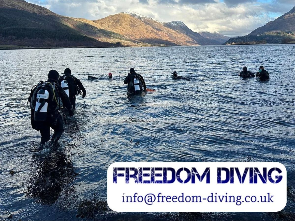 Freedom Diving