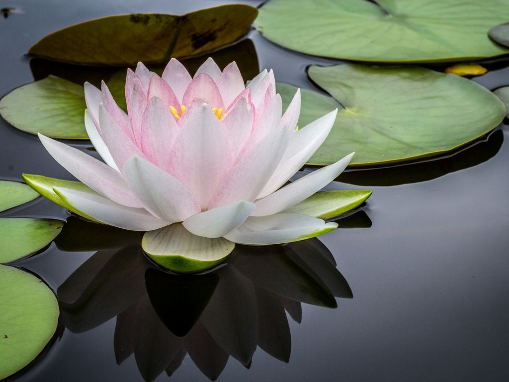 Kundalini Abundance Workshop