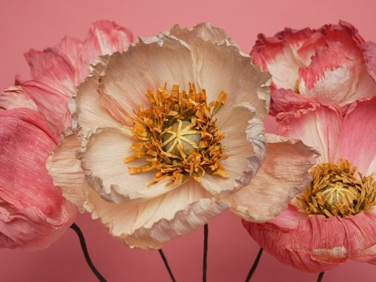 Edinburgh STYLE: Paper Flower Workshop