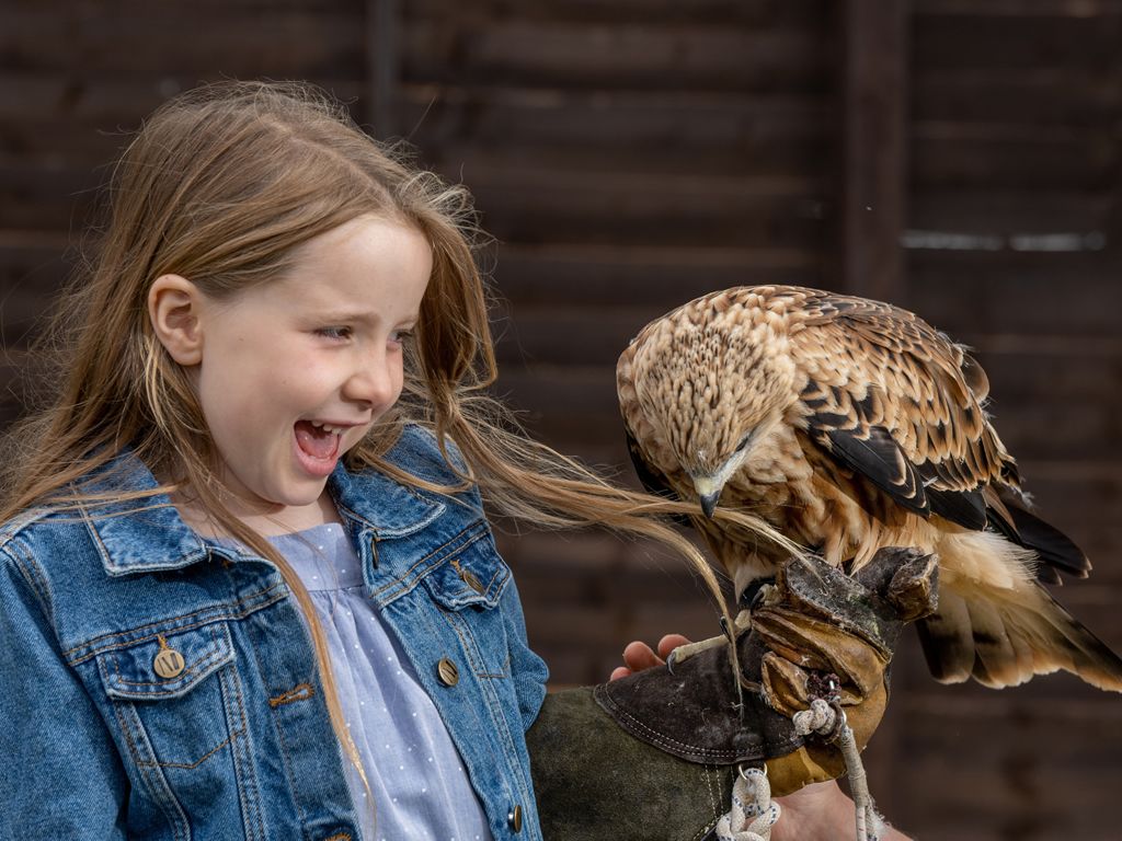 Fun for all the family at the 35th annual Scottish Game Fair