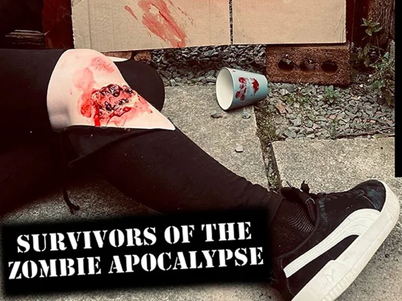 Survivors of the Zombie Apocalypse