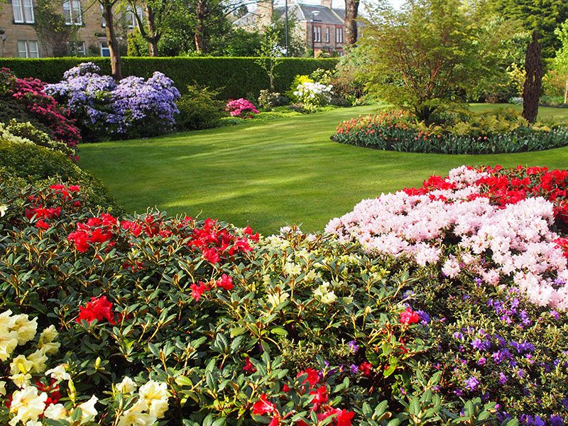 Scotland’s Gardens Scheme Open Garden: 41 Hermitage Gardens