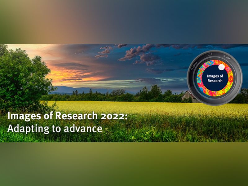 Images of Research 2022: Adapting To Advance