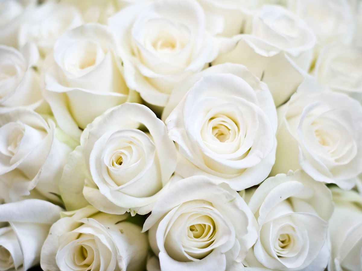 DoubleTree by Hilton Strathclyde Wedding Show, Catwalk Show and Band Showcase