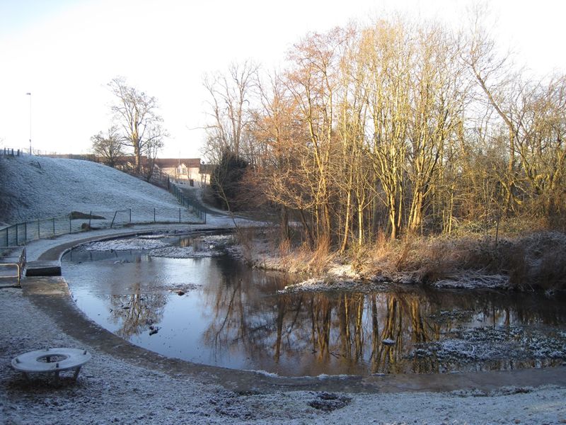 Doors Open Days: Castlemilk Park Pond: Past, Present and Future