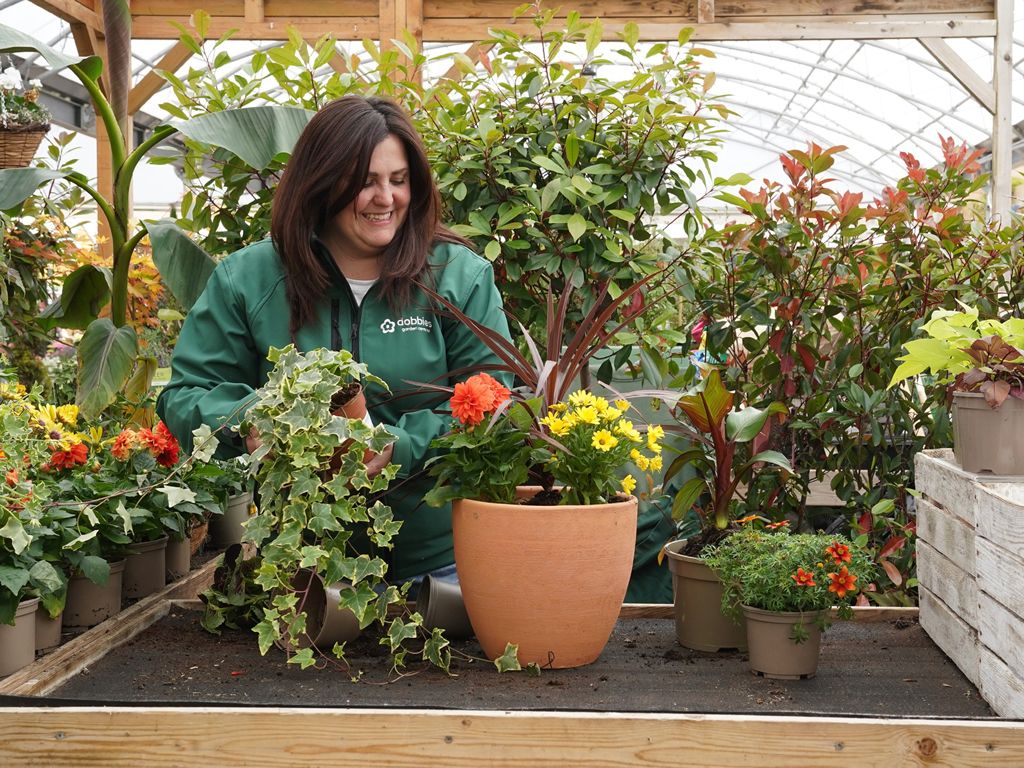 Summer flowers, sandwiches and scones with Dobbies