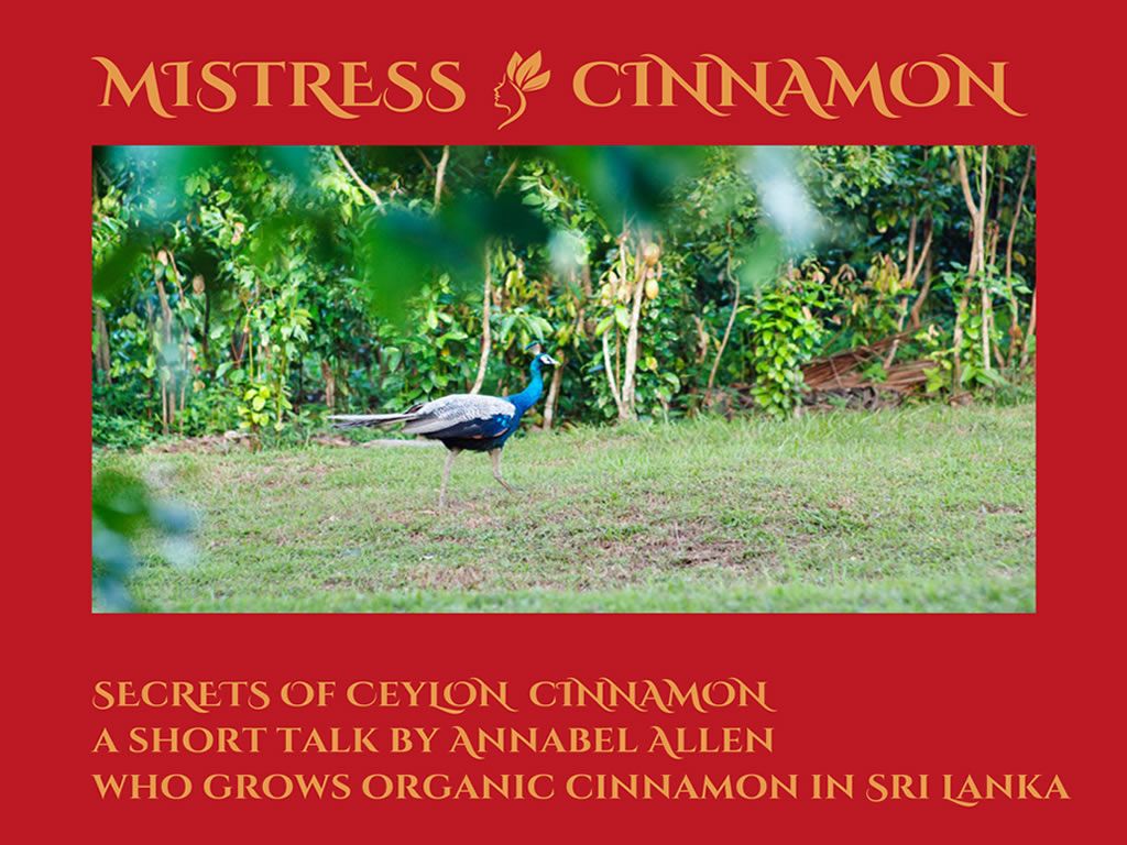 Mistress Cinnamon - Secrets of Ceylon Cinnamon