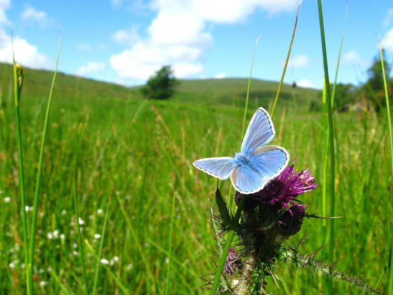 Clyde Muirshiel Regional Park