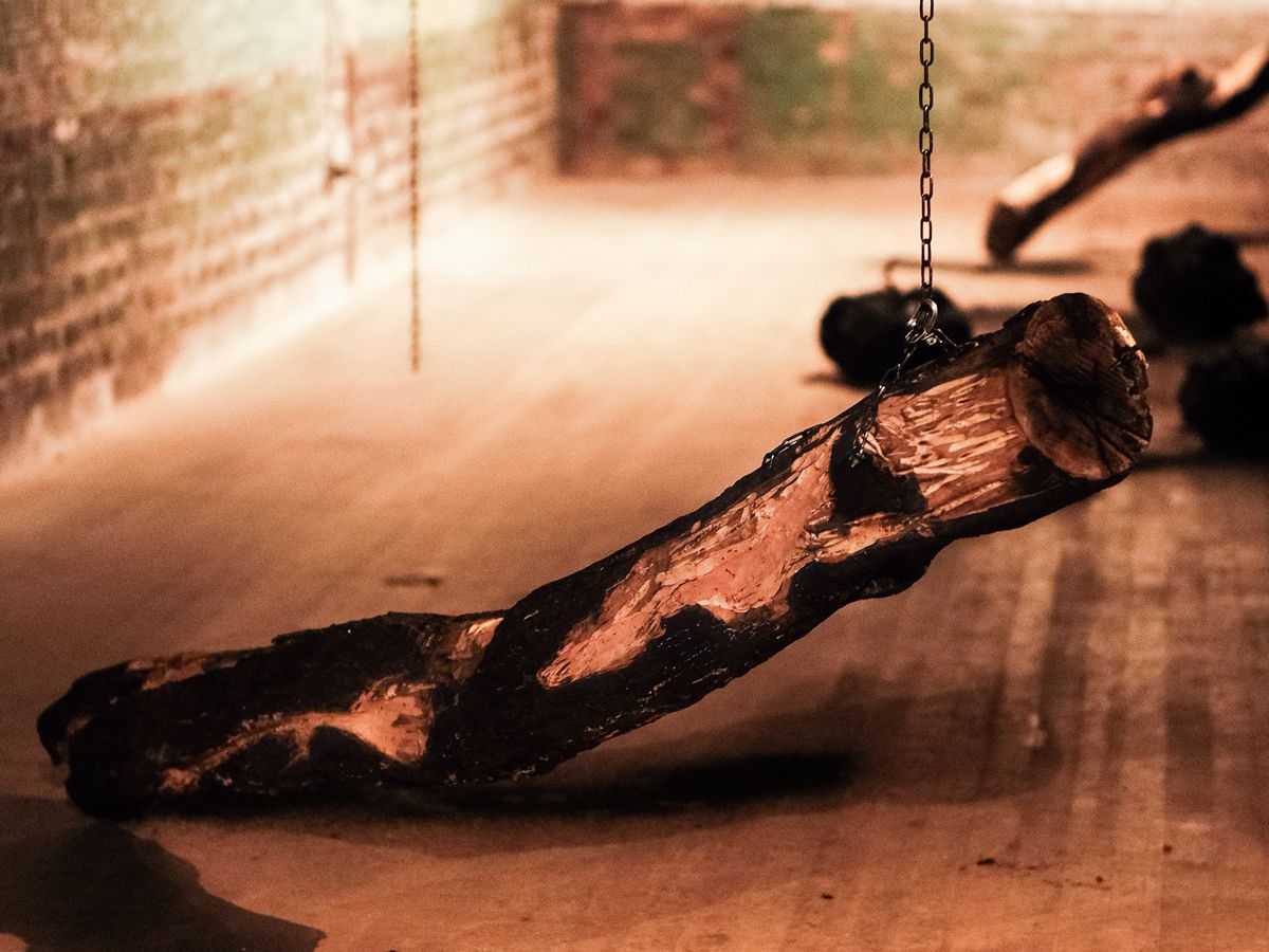 CATALYST: Art as Activism - All Day, Waiting For Another Sun to Rise