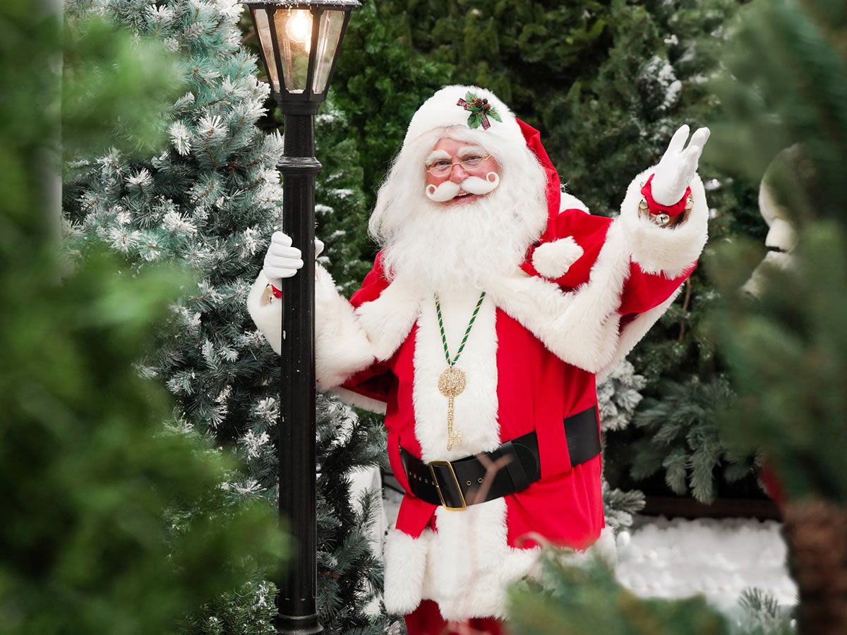 Step into the magic at Dobbies Garden Centres