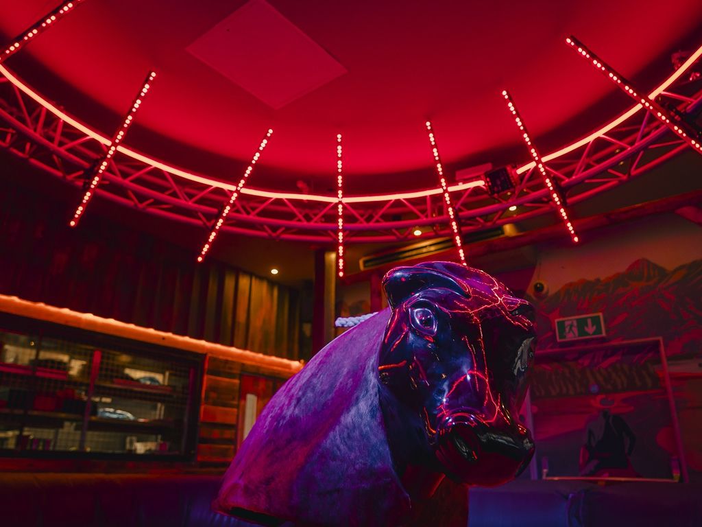 Maggie’s Rock ‘n’ Rodeo