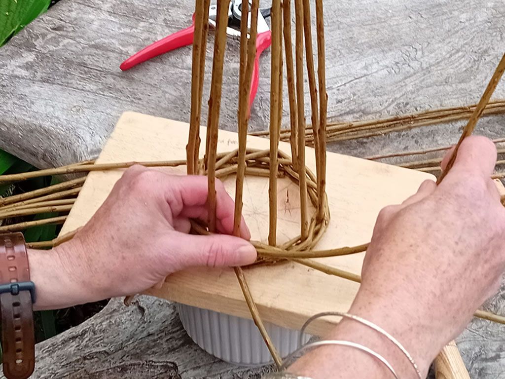 Willow Weaving Workshop