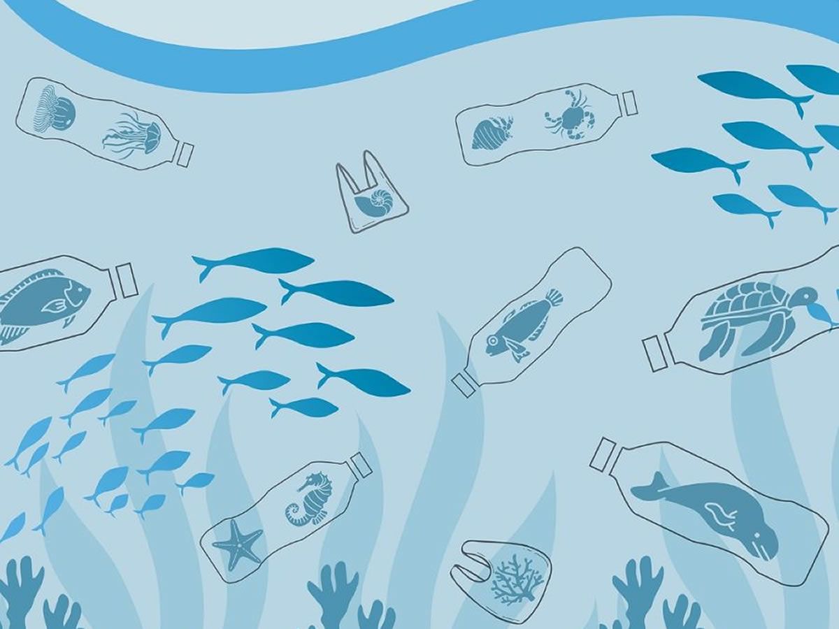Coast and Climate Drop-In