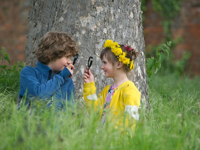 Mackie’s Summertime Explorers at Falkland Palace and Garden